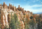 Classic Bryce Canyon view.