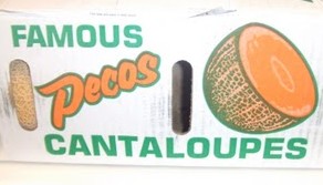 Pecos Texas Cantaloupes