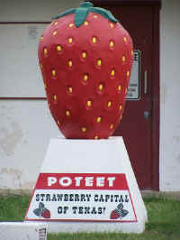 Poteet Texas Strawberry Monument