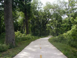 Entering the Enchanted Forest of River Legacy Park