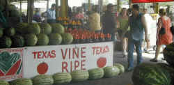 Vine ripe Texas watermelons.