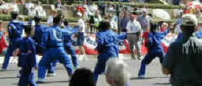 Arlington 4th of July Parade Kung Fu Fighters