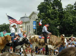 Granbury 4th of July Parade Longhorns