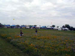 A field of wildflowers with Prairie Fest in the background.