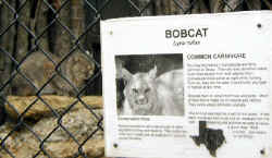 Fort Worth Nature Center and RefugeBobcat Sign