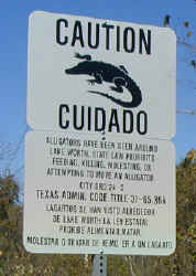 Beware of Gators