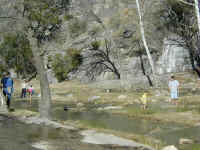 Taking a dip in Turner Falls Park's Honey Creek on a cold January day.