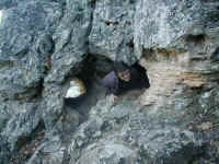 A Texan crawling through a hole in the Turner Falls cliff.
