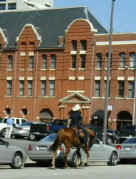 A photo of a mounted policeman. Downtown Fort Worth has cops on bikes as well.
