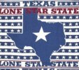 State Nickname  The Lone Star State 