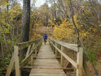 A wooden bridge across a gully on the Rockledge Trail at Lake Grapevine.