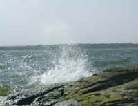 A big wave crashing to shore on Lake Grapevine.