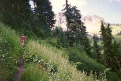 A hiker au naturel on the Excelsior Ridge Trail in Mount Baker - Snoqualmie National Forest.